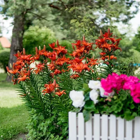 Pensjonat Faryny Bed & Breakfast 4*